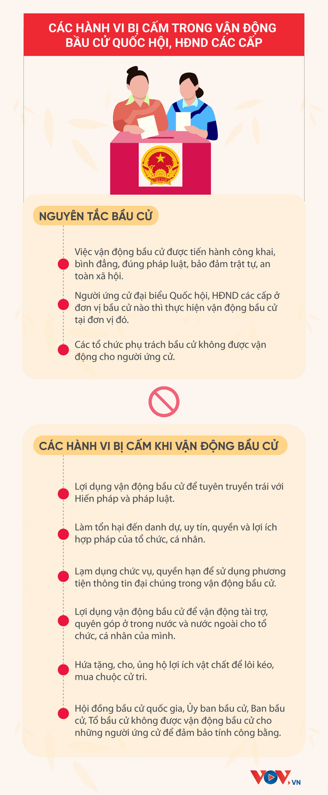 Các hành vi bị cấm trong vận động bầu cử Quốc hội, HĐND - Ảnh 1.