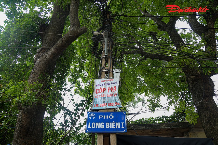 can-canh-loat-39mat-than39-bao-ve-cau-long-bi234n_14.jpg can-canh-loat-39mat-than39-bao-ve-cau-long-bi234n_14.jpg