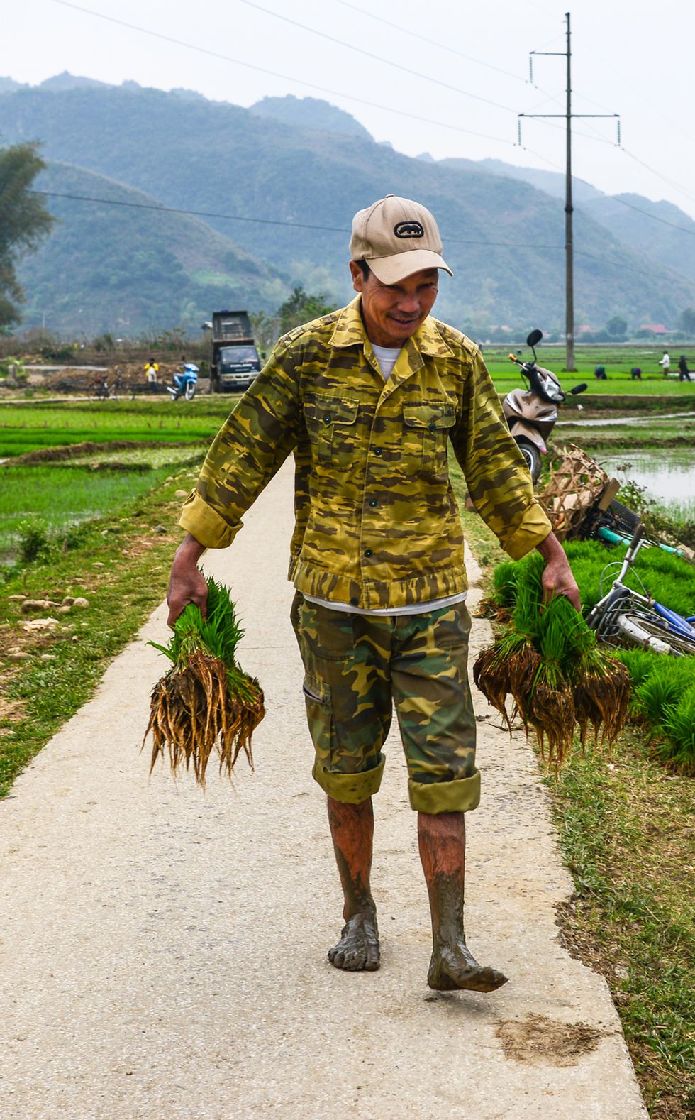 Cánh đồng Tây Bắc rộn rã vào mùa - ảnh 2