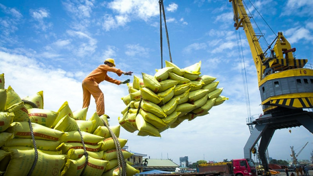 Cắt giảm thuế nhập khẩu, tín hiệu vui cho xuất khẩu gạo Việt 