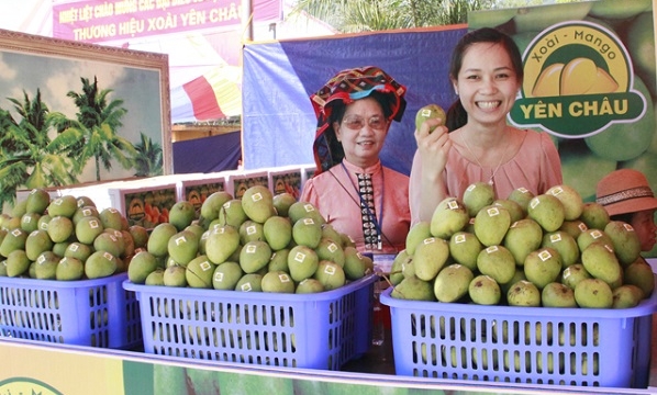 Câu chuyện xây dựng thương hiệu nông sản ở huyện Yên Châu