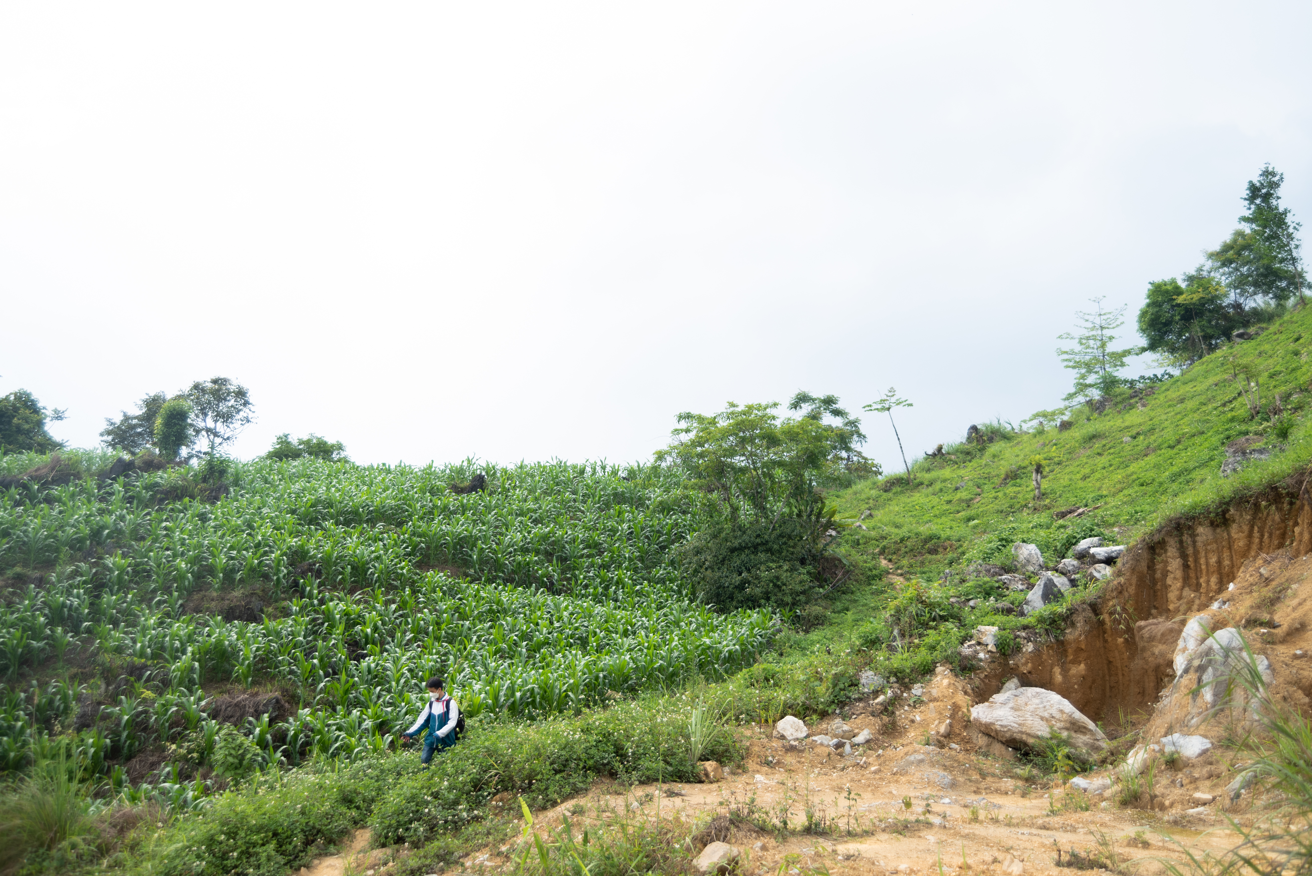 cau-hoc-sinh-ngh232o-nguoi-dao-h225i-ch232-thu234-tu-nam-lop-6-de-kiem-tien-den-truong_2.jpg cau-hoc-sinh-ngh232o-nguoi-dao-h225i-ch232-thu234-tu-nam-lop-6-de-kiem-tien-den-truong_2.jpg
