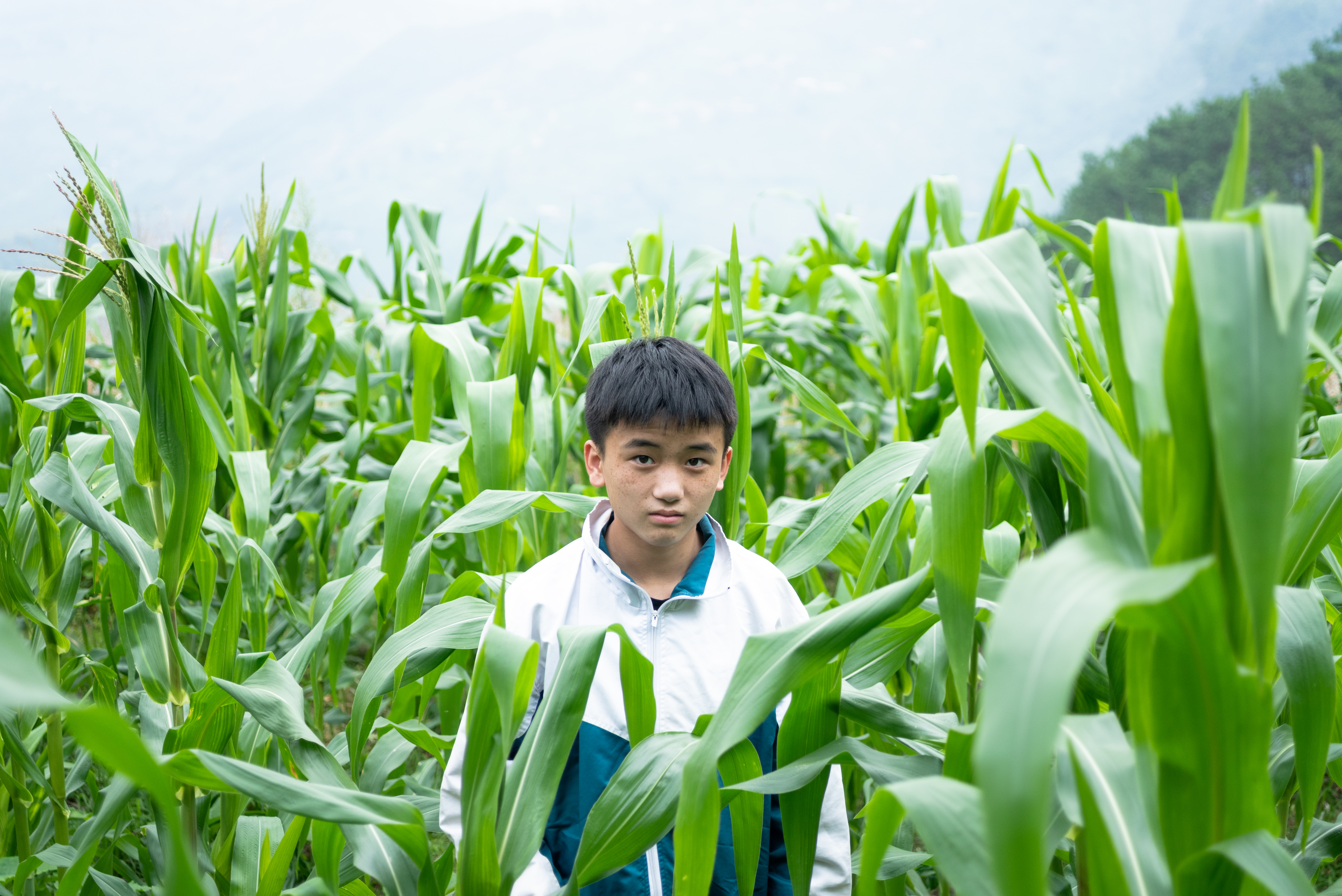 cau-hoc-sinh-ngh232o-nguoi-dao-h225i-ch232-thu234-tu-nam-lop-6-de-kiem-tien-den-truong_7.jpg cau-hoc-sinh-ngh232o-nguoi-dao-h225i-ch232-thu234-tu-nam-lop-6-de-kiem-tien-den-truong_7.jpg