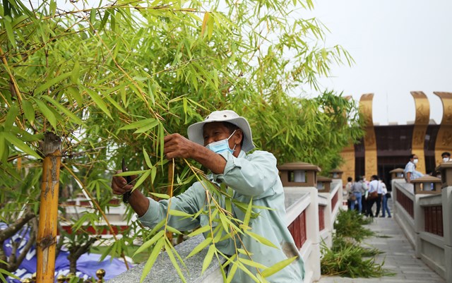 ch249m-anh-den-tho-vua-h249ng-o-mien-t226y-truoc-gio-39khai-hoi39_5.jpg