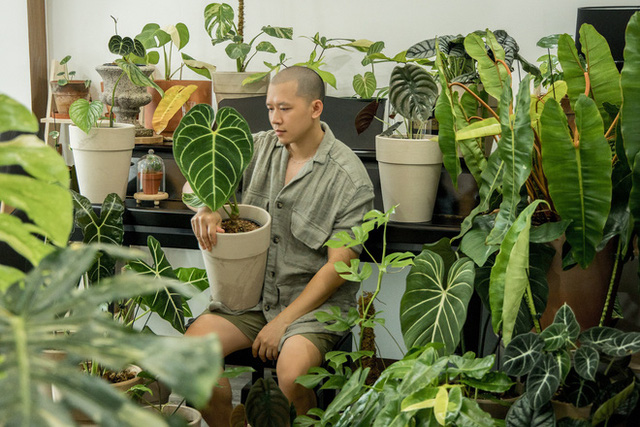 Chàng trai Sài Gòn chi 4 tỷ đồng phủ xanh nhà với bạt ngàn cây, bộ sưu tập tận hơn trăm loài ngắm mà nể - Ảnh 1.