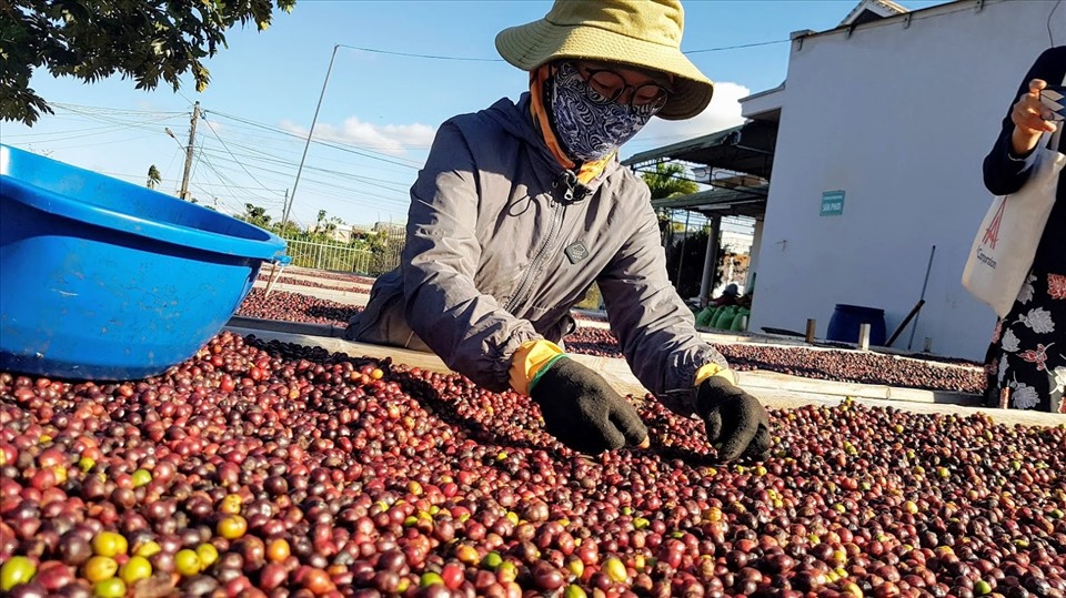 Châu Âu mở cửa, cơ hội cho nông sản Việt Nam