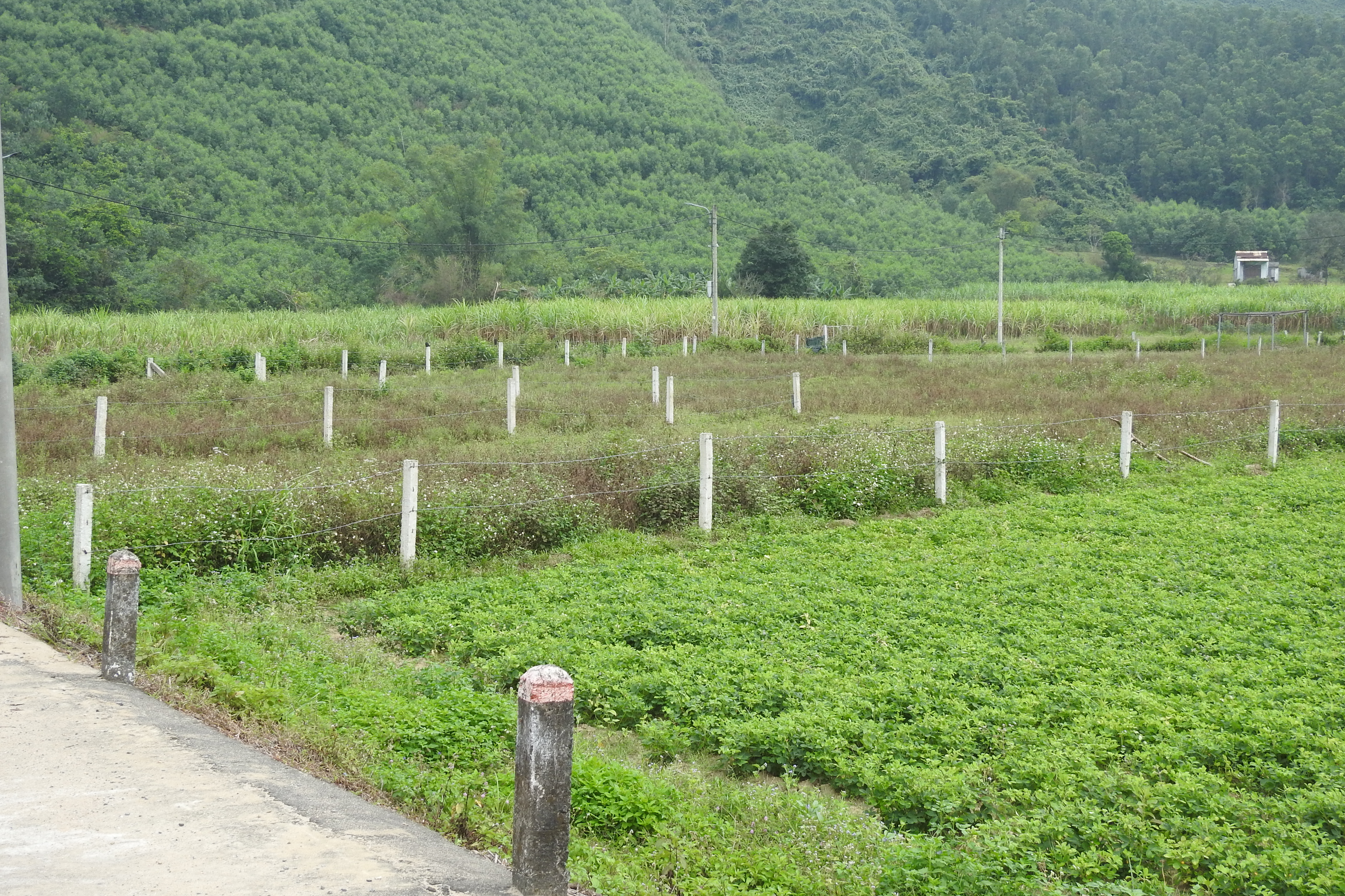chen-nhau-l224m-thu-tuc-dat-dai-o-huyen-h242a-vang-nguy234n-nh226n-v236-d226u_5.jpg chen-nhau-l224m-thu-tuc-dat-dai-o-huyen-h242a-vang-nguy234n-nh226n-v236-d226u_5.jpg