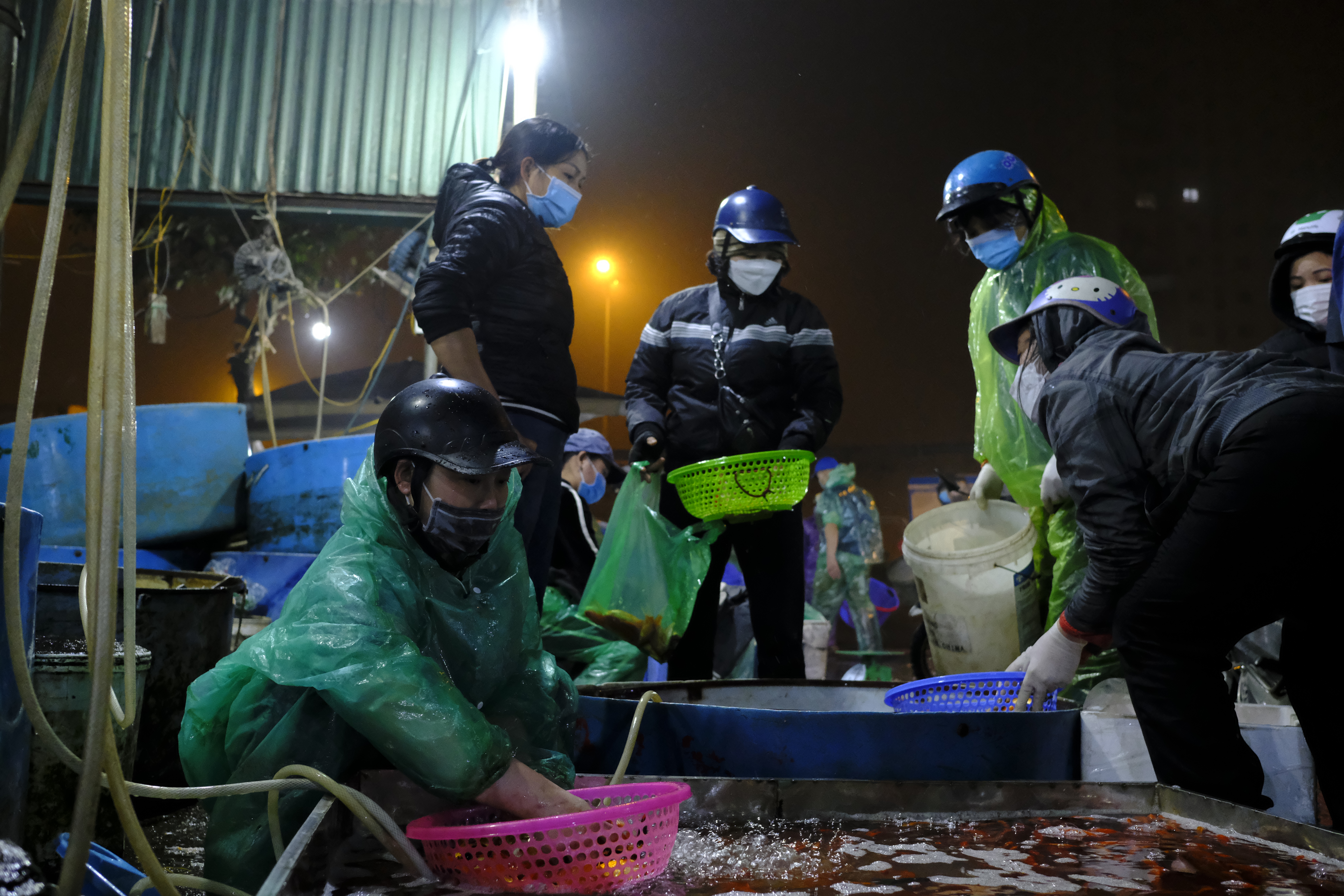 cho-c225-y234n-so-nhon-nhip-truoc-ng224y-244ng-c244ng-244ng-t225o_2.jpg