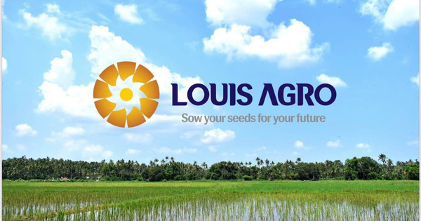 Chủ tịch Louis Agro tiếp tục thâu tóm “vua gạo” An Giang Angimex