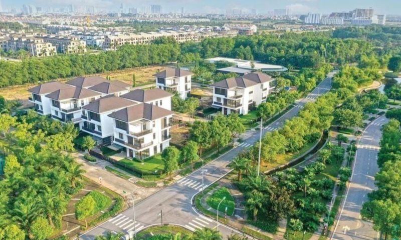 Ảnh minh họa Ảnh minh họa