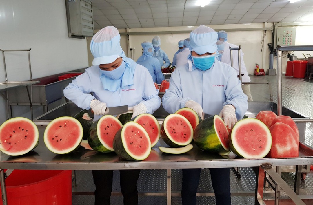 Cơ hội cho hàng dệt may, nông sản... từ RCEP