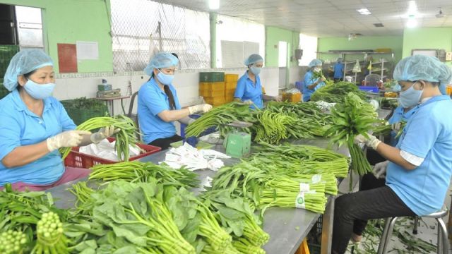 Cơ hội đẩy mạnh xuất khẩu rau quả sang thị trường EU