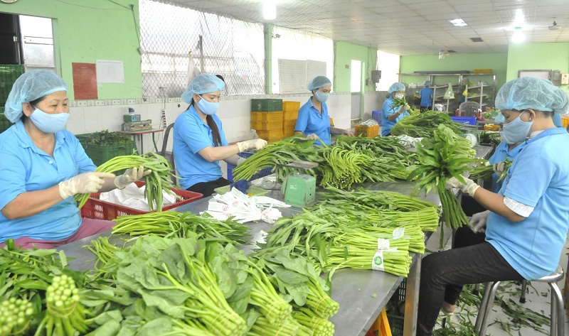 Ảnh minh họa Ảnh minh họa