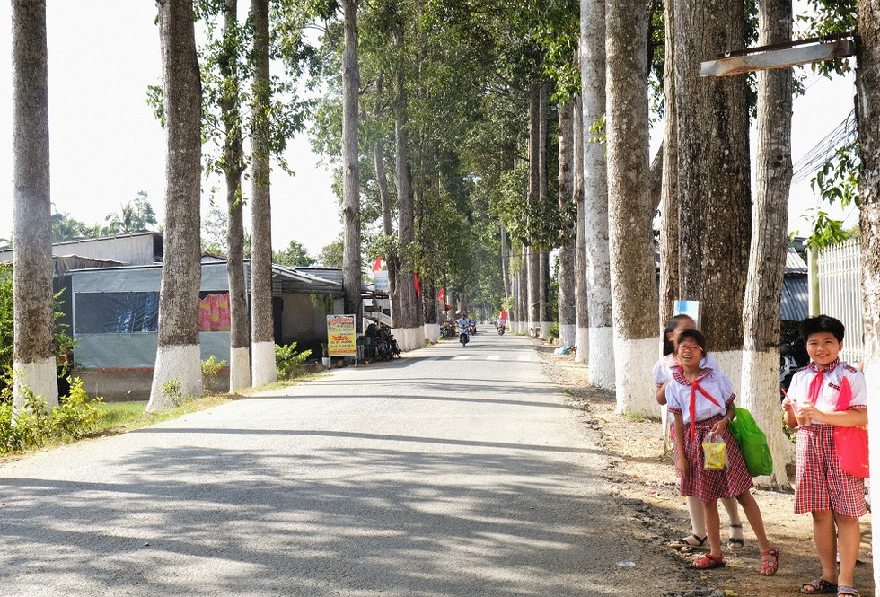 Con đường miền Tây trồng dầu gần 40 năm: Cây cao chót vót, bóng mát phủ kín - ảnh 4