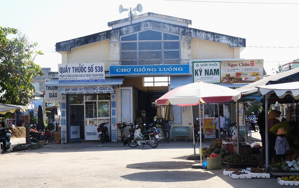 Con đường miền Tây trồng dầu gần 40 năm: Cây cao chót vót, bóng mát phủ kín - ảnh 5