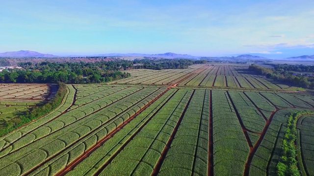 Công bố đối tác liên doanh tại Philippines, Vinamilk dự kiến đưa sản phẩm ra thị trường vào tháng 9/2021 - Ảnh 3.