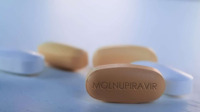 Covid-19: Thuốc kháng virus Molnupiravir có tỷ lệ âm hóa virus cao 