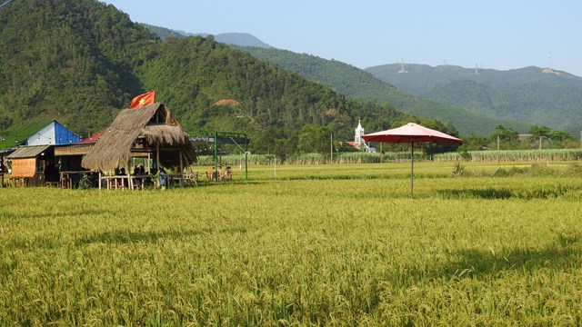 Đà Nẵng: Xã miền núi tràn lan mô hình du lịch tự phát trên đất nông nghiệp