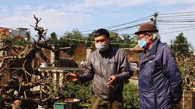 Đào Thất Thốn nằm điều hoà, bán online vẫn đắt khách
