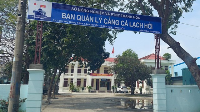 Đình chỉ công tác Giám đốc cảng cá lớn nhất Thanh Hoá vì tham gia đánh bạc
