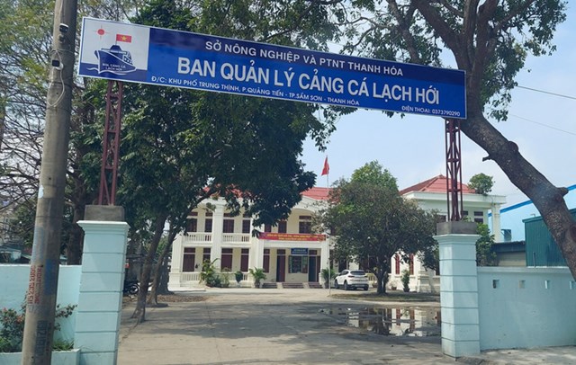 d236nh-chi-c244ng-t225c-gi225m-doc-cang-c225-lon-nhat-thanh-ho225-v236-tham-gia-d225nh-bac_1.jpg d236nh-chi-c244ng-t225c-gi225m-doc-cang-c225-lon-nhat-thanh-ho225-v236-tham-gia-d225nh-bac_1.jpg