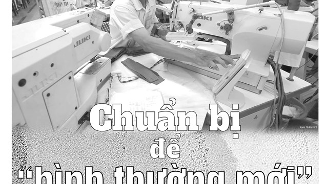 Đón đọc Tinh hoa Việt số 156 với nhiều nội dung hấp dẫn 