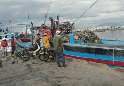 UBND TP Đà Nẵng yêu cầu các đơn vị phối hợp tổ chức hướng dẫn sắp xếp tàu thuyền neo đậu an toàn tại khu trú tránh bão Âu thuyền Thọ Quang và các điểm neo đậu trú tránh bão đã được quy hoạch.