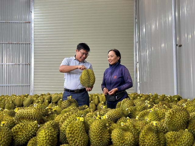 dak-lak-c244ng-bo-nh227n-hieu-sau-ri234ng-cu-mgar_7.jpg dak-lak-c244ng-bo-nh227n-hieu-sau-ri234ng-cu-mgar_7.jpg