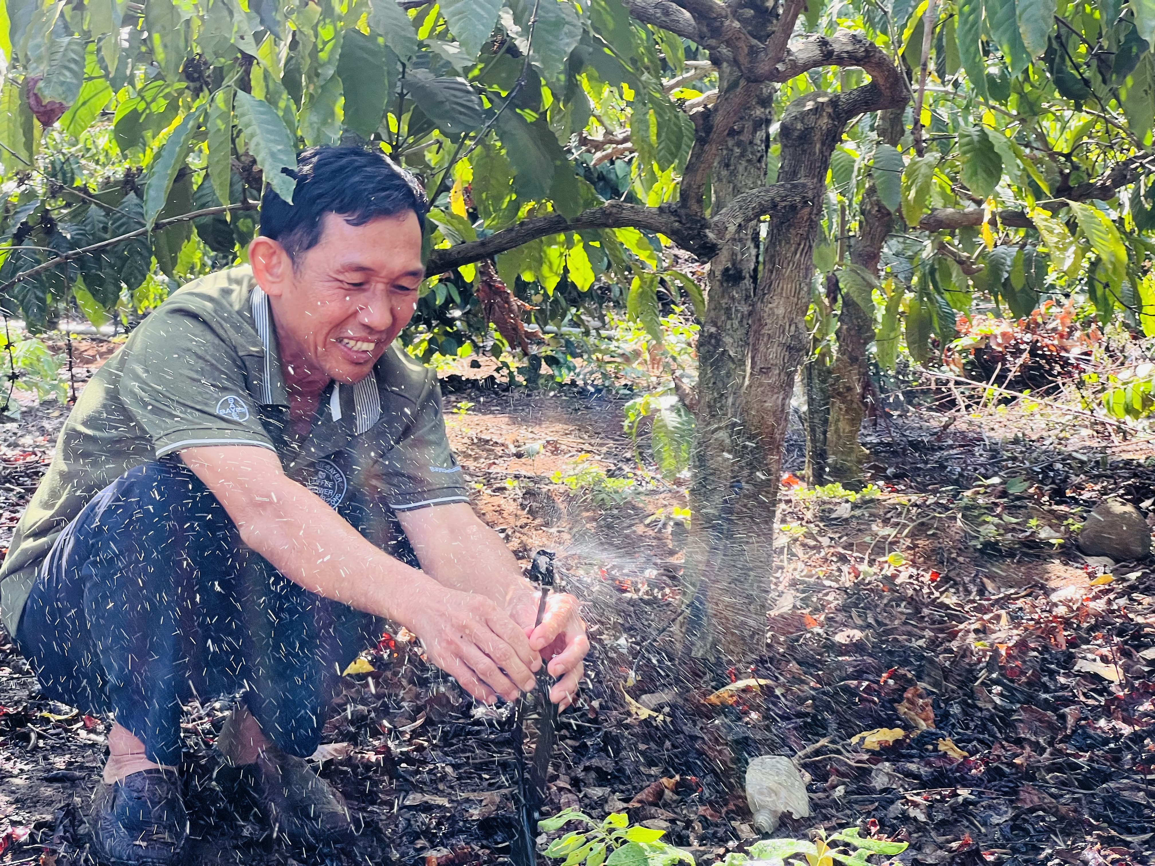 dak-lak-chu-dong-ph242ng-chong-han-cho-c226y-trong_1.jpg dak-lak-chu-dong-ph242ng-chong-han-cho-c226y-trong_1.jpg