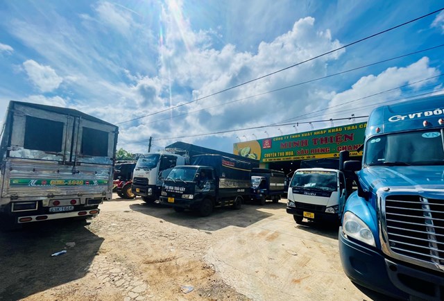dak-lak-chuan-bi-xuat-khau-l244-sau-ri234ng-ch237nh-ngach-dau-ti234n-sang-trung-quoc_4.jpg dak-lak-chuan-bi-xuat-khau-l244-sau-ri234ng-ch237nh-ngach-dau-ti234n-sang-trung-quoc_4.jpg