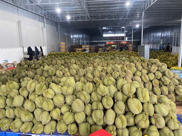 dak-lak-le-hoi-n226ng-tam-sau-ri234ng-kr244ng-pac_1.jpg dak-lak-le-hoi-n226ng-tam-sau-ri234ng-kr244ng-pac_1.jpg