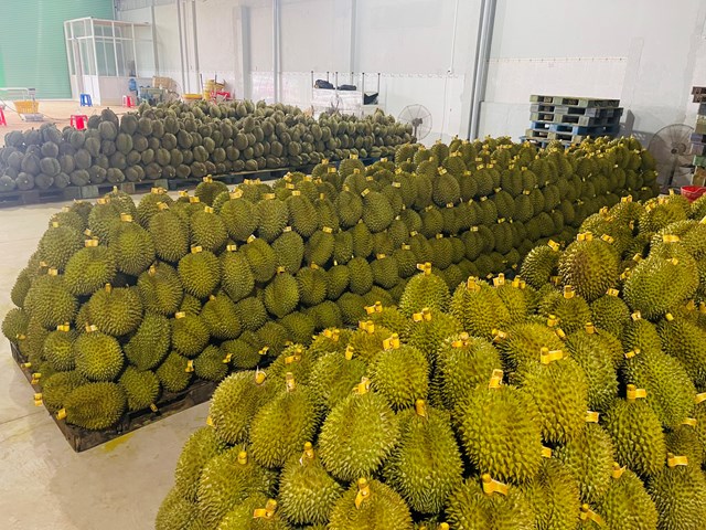 dak-lak-le-hoi-n226ng-tam-sau-ri234ng-kr244ng-pac_7.jpg dak-lak-le-hoi-n226ng-tam-sau-ri234ng-kr244ng-pac_7.jpg
