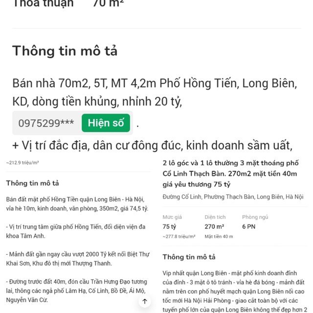 dat-doc-theo-du-225n-cau-tran-hung-dao-d227-dat-dinh_2.jpg