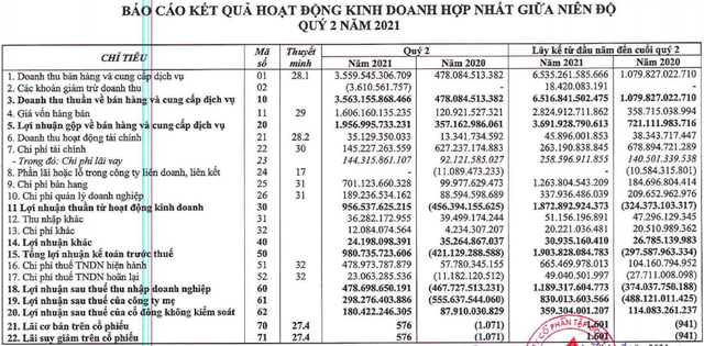 Đất Xanh (DXG): Nửa đầu năm doanh thu tăng 6,5 lần, LNST ghi nhận 1.189 tỷ đồng - Ảnh 1.