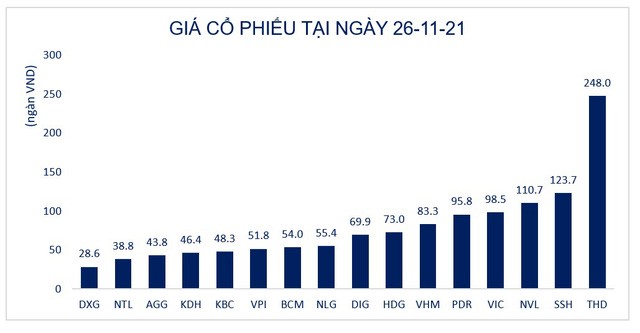 Đất Xanh Group hủy phương án phát hành cổ phiếu riêng lẻ - Ảnh 1. Đất Xanh Group hủy phương án phát hành cổ phiếu riêng lẻ - Ảnh 1.