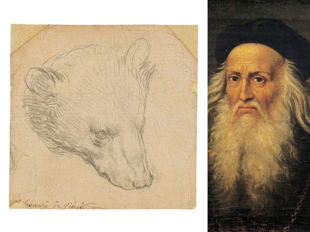 'Đầu gấu' của Leonardo Da Vinci sẽ được bán với giá 17 triệu USD? 