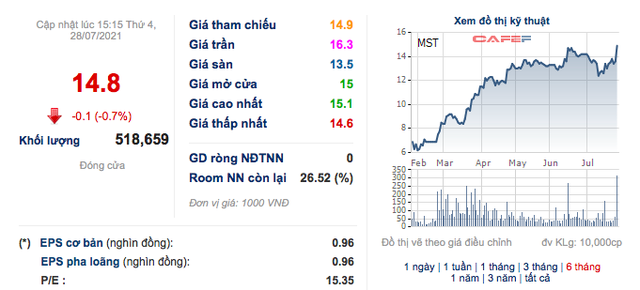 Đầu tư MST: 6 tháng lãi 29 tỷ đồng, tăng mạnh so với cùng kỳ 2020 - Ảnh 4.