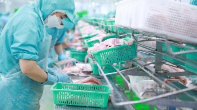 Đầu tư phát triển đa Quốc gia I.D.I đặt mục tiêu lợi nhuận tăng trưởng 213%
