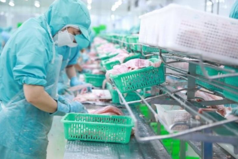 IDI kỳ vọng lợi nhuận năm 2024 tăng tốc. IDI kỳ vọng lợi nhuận năm 2024 tăng tốc.