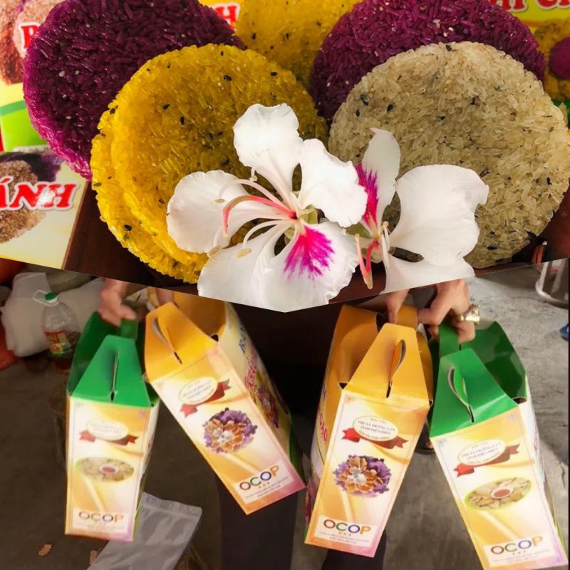 Bánh Khẩu xén (Sắn, Gạo) - Hợp tác xã Lay Nưa. Bánh Khẩu xén (Sắn, Gạo) - Hợp tác xã Lay Nưa.