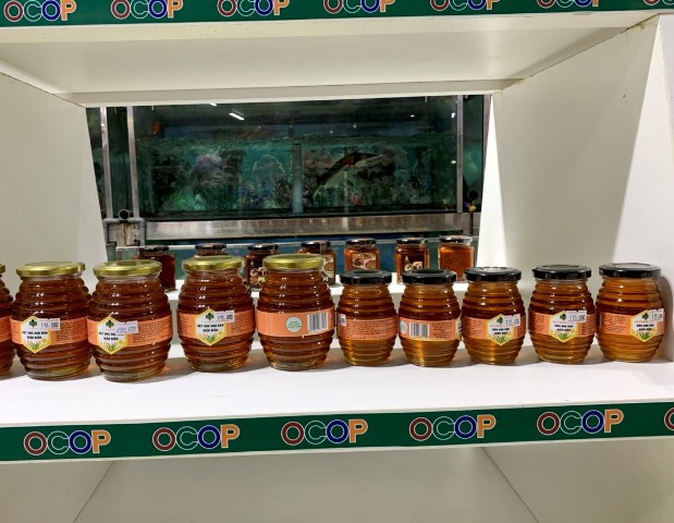 Sản phẩm Mật ong hoa ban - Hợp tác xã Ong mật Điện Biên Sản phẩm Mật ong hoa ban - Hợp tác xã Ong mật Điện Biên