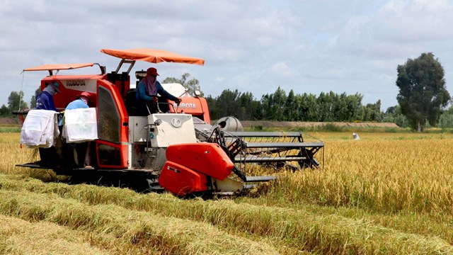 Đẩy mạnh tiêu thụ nông sản qua kênh phân phối thương mại điện tử