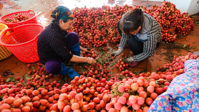 Đẩy mạnh xuất khẩu nông sản chủ lực