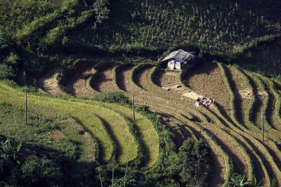 Đến Mù Cang Chải Tây Bắc không chỉ có ruộng lúa bậc thang mà còn chẳng muốn về - ảnh 5