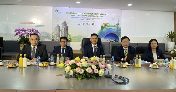 ĐHĐCĐ Bamboo Capital: Ghi nhận nhiều dự án BĐS nhưng các dự án điện gió chưa sẵn sàng phát điện trước 31/10/2021