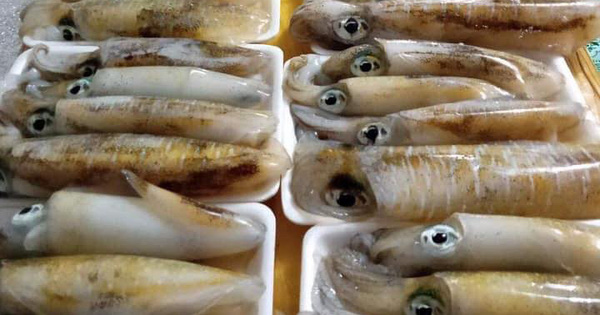 Dịch bệnh vắng khách du lịch, giá nhiều loại hải sản Phú Quốc giảm sâu