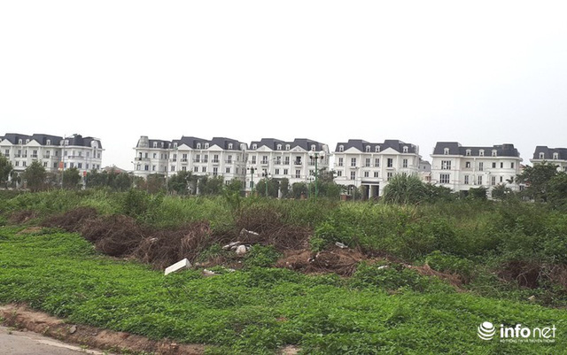 Điểm mặt những khu biệt thự trăm tỷ bỏ hoang ở Hà Nội, có bị đánh thuế? - Ảnh 1. Điểm mặt những khu biệt thự trăm tỷ bỏ hoang ở Hà Nội, có bị đánh thuế? - Ảnh 1.