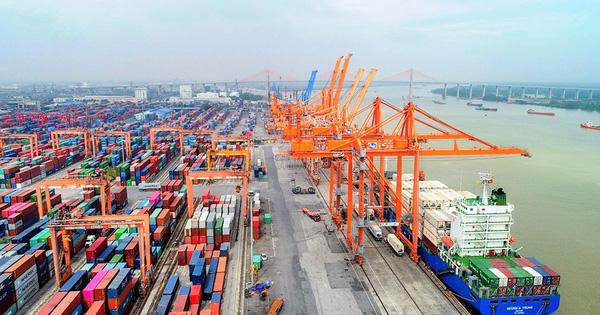 Điều gì giúp cổ phiếu cảng biển logistic vững vàng trước nhịp chỉnh của thị trường?
