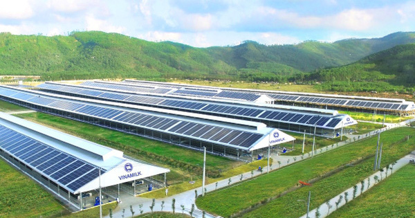 Định giá trở nên hấp dẫn sau chuỗi điều chỉnh của giá cổ phiếu: Đà giảm của VNM sẽ sớm kết thúc?