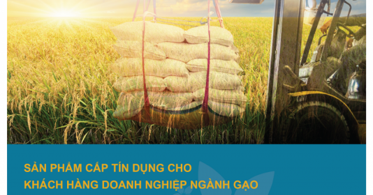 Doanh nghiệp ngành gạo đoán “trợ lực” từ Bắc Á Bank